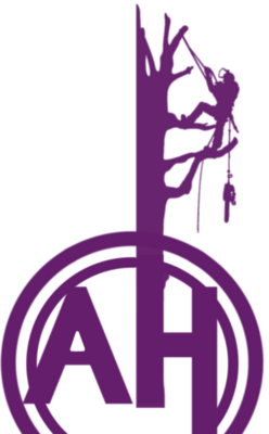Arbour Heights tree lopping and arborist services, Eudlo